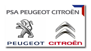 Peugeot Citroen logo, client Bretagne rayonnage